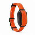 Smart Training Collar – No Shock